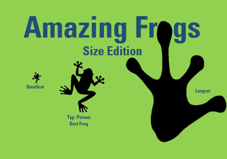 Amazing Frogs – Size Edition