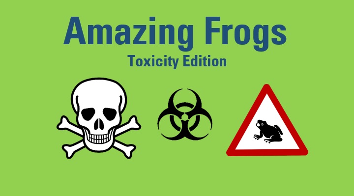 Amazing Frogs – Toxicity Edition