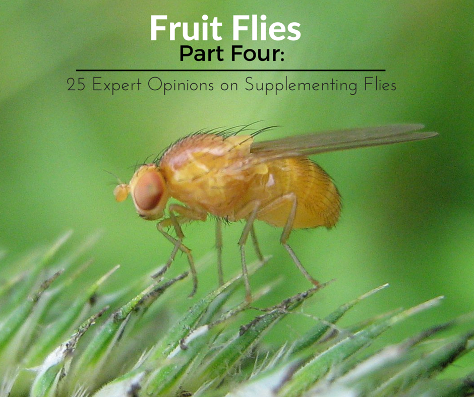 Fruit Flies Supplementation