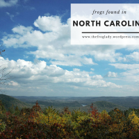 North Carolina Frogs and Toads