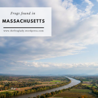 Massachusetts Frogs and Toads