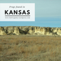 Kansas Frogs and Toads