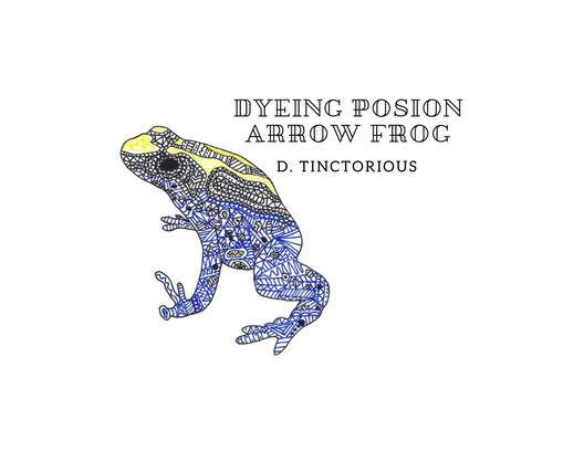 Dyeing Poison Arrow Frog – D. Tinctorious