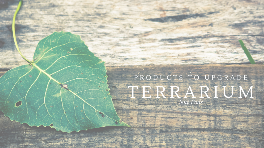 Products to Upgrade Terrarium – Nut Pods